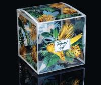 Подарочная коробка «Tropical gift», 12 х 12 х 12 см