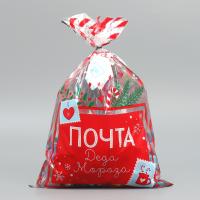 Пакет пластиковый «Почта», 20 × 30 см 